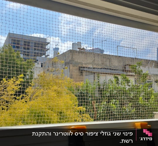 רשת יונים מותקנת על חלון עם נוף עירוני